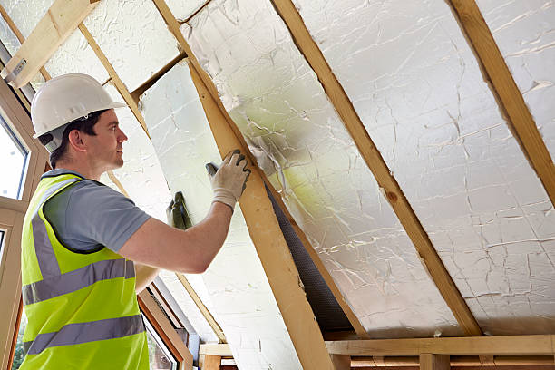 Best Home Insulation Services  in St Paul Park, MN